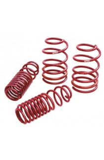 Eibach Sportline Lowering Springs FK8 Type-R