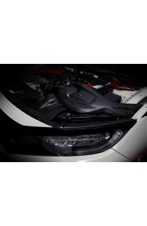 Blitz Carbon Air Induction Kit - FK8 Civic