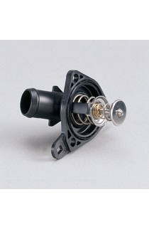 Mugen Low Temp Thermostat