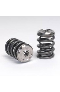 Skunk2 Alpha Valve Spring / Retainer Set