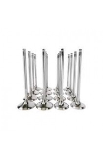 Skunk2 Alpha Series Valve Set