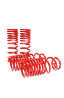 Skunk2 Lowering Springs 