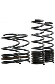 Swift Spec-R Lowering Springs FK8