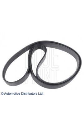 Blueprint Alternator A/C Drive Belt FN2