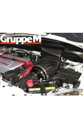 GruppeM Ram Air Intake System EP3