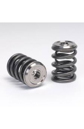 Skunk2 Alpha Valve Spring / Retainer Set