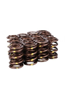 Skunk2 Pro Series XP Valve Springs
