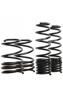 Swift Spec-R Lowering Springs FK8