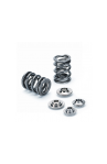 Supertech Dual Valve Spring + Retainer Set b 16 b18 SPRK-H1002D 